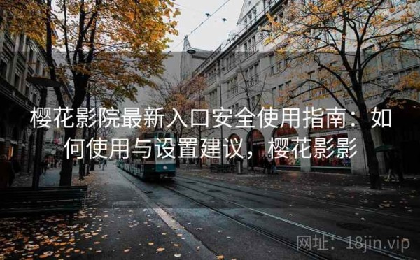 樱花影院最新入口安全使用指南：如何使用与设置建议，樱花影影