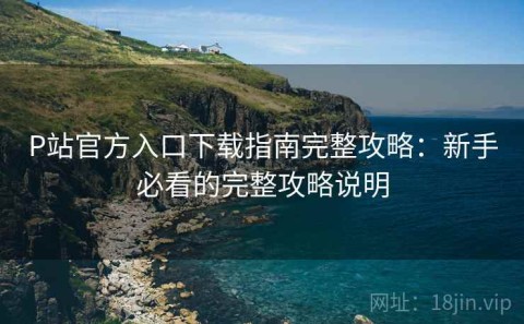 P站官方入口下载指南完整攻略：新手必看的完整攻略说明