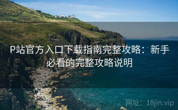 P站官方入口下载指南完整攻略：新手必看的完整攻略说明