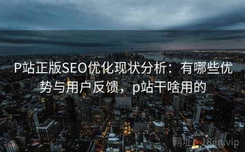 P站正版SEO优化现状分析：有哪些优势与用户反馈，p站干啥用的