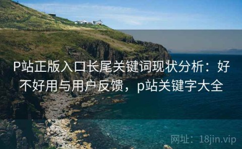 P站正版入口长尾关键词现状分析：好不好用与用户反馈，p站关键字大全