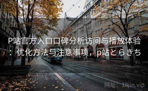 P站官方入口口碑分析访问与播放体验：优化方法与注意事项，p站とらきち