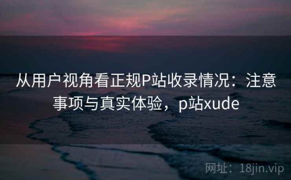 从用户视角看正规P站收录情况：注意事项与真实体验，p站xude