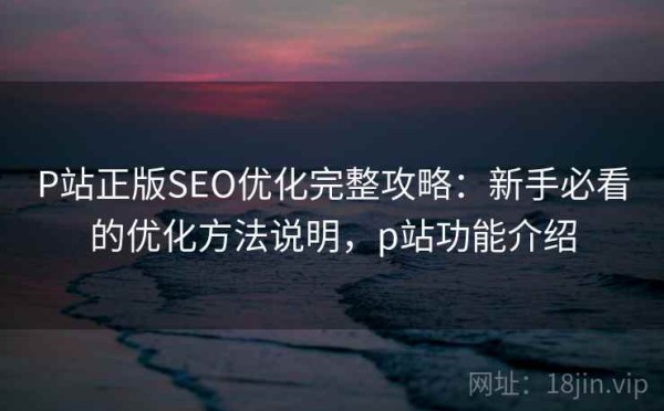 P站正版SEO优化完整攻略：新手必看的优化方法说明，p站功能介绍
