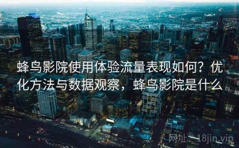 蜂鸟影院使用体验流量表现如何？优化方法与数据观察，蜂鸟影院是什么