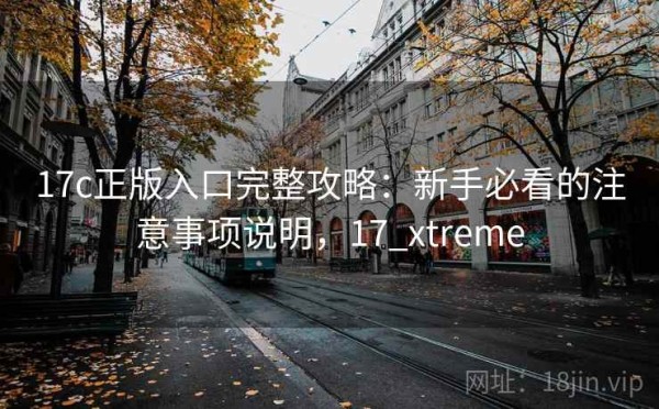 17c正版入口完整攻略：新手必看的注意事项说明，17_xtreme