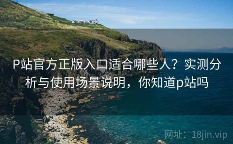 P站官方正版入口适合哪些人？实测分析与使用场景说明，你知道p站吗