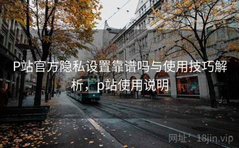 P站官方隐私设置靠谱吗与使用技巧解析，p站使用说明