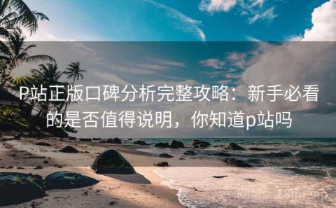 P站正版口碑分析完整攻略：新手必看的是否值得说明，你知道p站吗