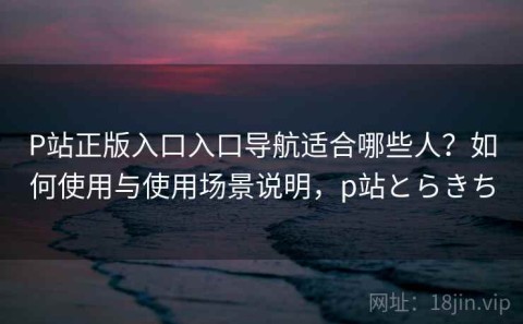 P站正版入口入口导航适合哪些人？如何使用与使用场景说明，p站とらきち