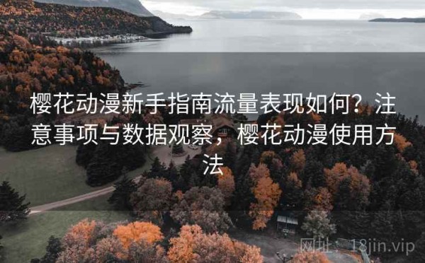 樱花动漫新手指南流量表现如何？注意事项与数据观察，樱花动漫使用方法