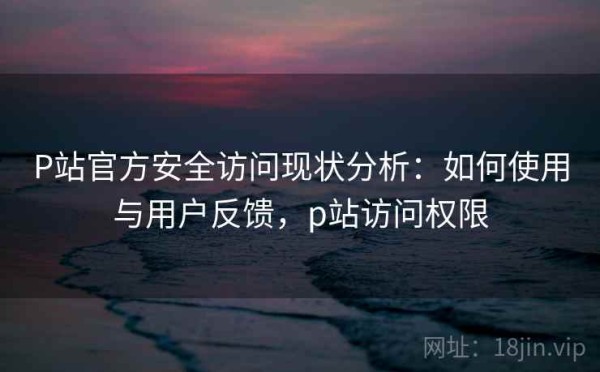 P站官方安全访问现状分析：如何使用与用户反馈，p站访问权限