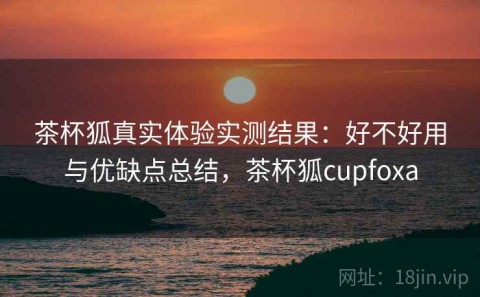 茶杯狐真实体验实测结果：好不好用与优缺点总结，茶杯狐cupfoxa
