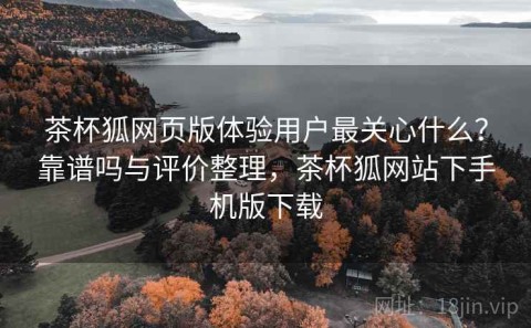 茶杯狐网页版体验用户最关心什么？靠谱吗与评价整理，茶杯狐网站下手机版下载