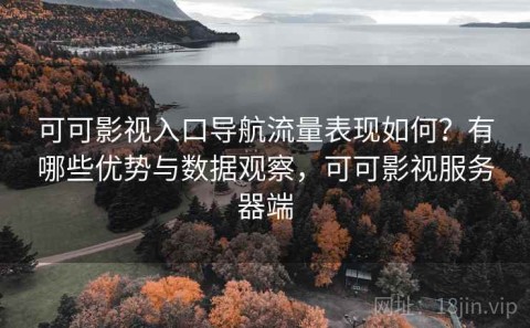 可可影视入口导航流量表现如何？有哪些优势与数据观察，可可影视服务器端