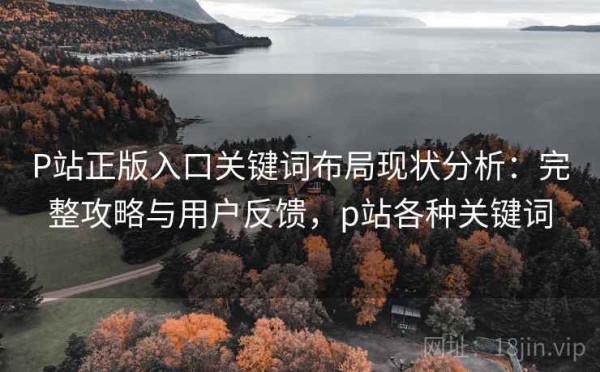P站正版入口关键词布局现状分析：完整攻略与用户反馈，p站各种关键词