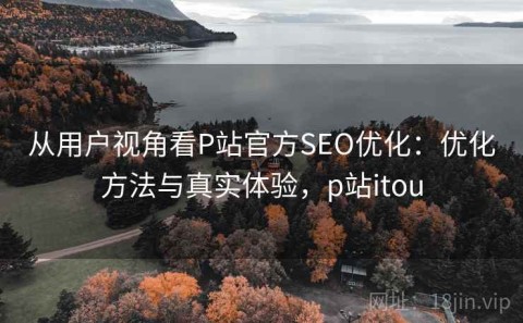 从用户视角看P站官方SEO优化：优化方法与真实体验，p站itou