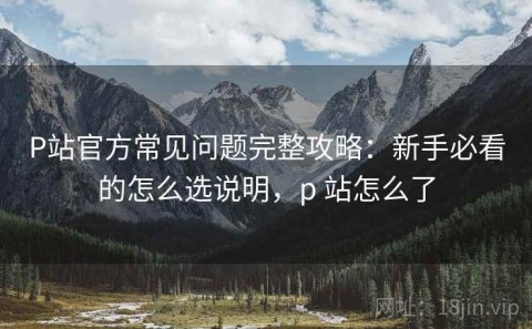 P站官方常见问题完整攻略：新手必看的怎么选说明，p 站怎么了