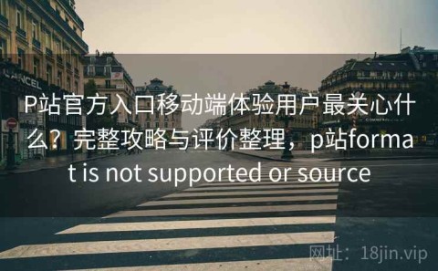 P站官方入口移动端体验用户最关心什么？完整攻略与评价整理，p站format is not supported or source