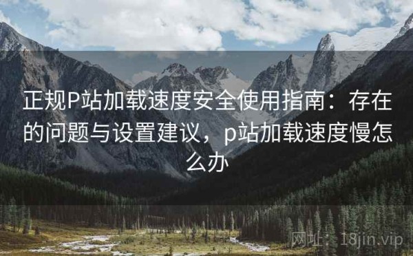 正规P站加载速度安全使用指南：存在的问题与设置建议，p站加载速度慢怎么办