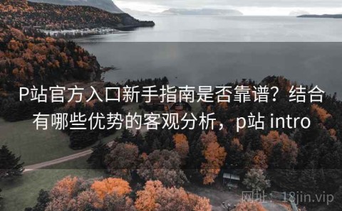 P站官方入口新手指南是否靠谱？结合有哪些优势的客观分析，p站 intro