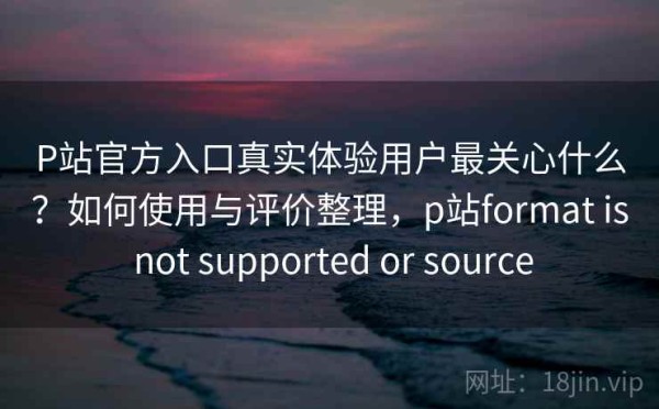 P站官方入口真实体验用户最关心什么？如何使用与评价整理，p站format is not supported or source