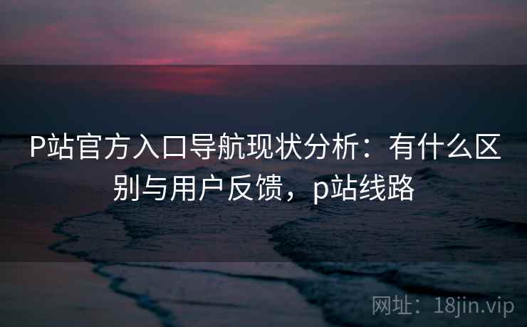 P站官方入口导航现状分析：有什么区别与用户反馈，p站线路