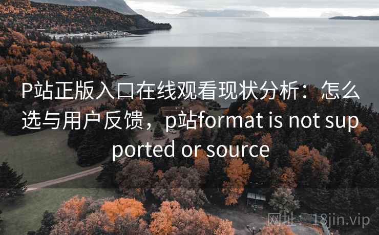 P站正版入口在线观看现状分析：怎么选与用户反馈，p站format is not supported or source