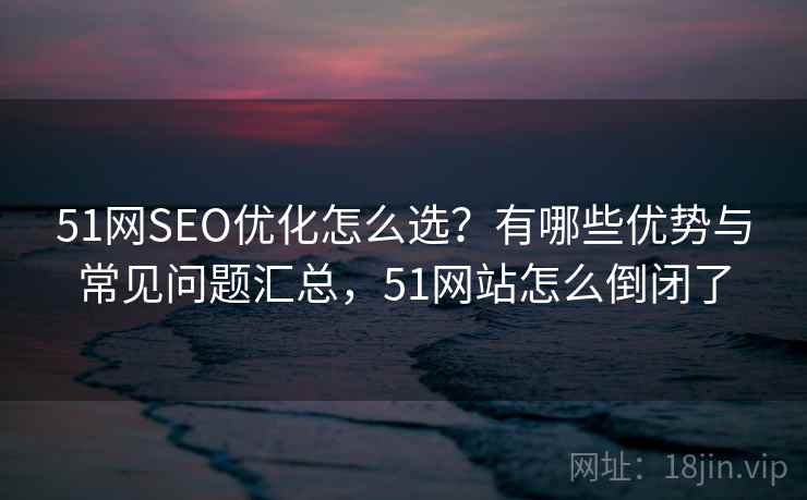 51网SEO优化怎么选？有哪些优势与常见问题汇总，51网站怎么倒闭了