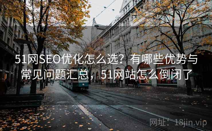 51网SEO优化怎么选？有哪些优势与常见问题汇总，51网站怎么倒闭了