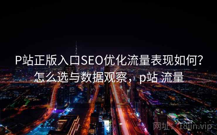 P站正版入口SEO优化流量表现如何？怎么选与数据观察，p站 流量