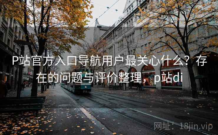 P站官方入口导航用户最关心什么?存在的问题与评价整理,p站di P站官方入口导航用户最关心什么?存在的问题与评价整理,p站di