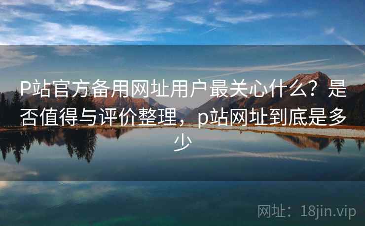 P站官方备用网址用户最关心什么？是否值得与评价整理，p站网址到底是多少