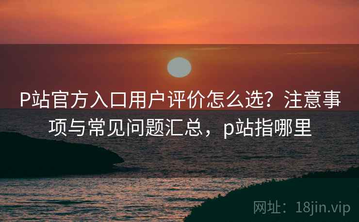 P站官方入口用户评价怎么选？注意事项与常见问题汇总，p站指哪里