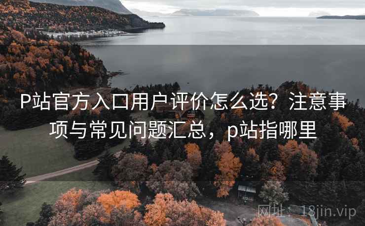 P站官方入口用户评价怎么选？注意事项与常见问题汇总，p站指哪里