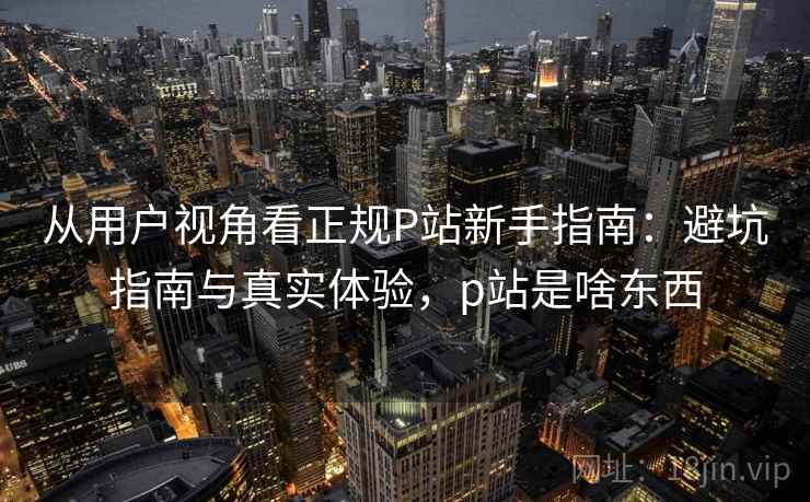 从用户视角看正规P站新手指南：避坑指南与真实体验，p站是啥东西