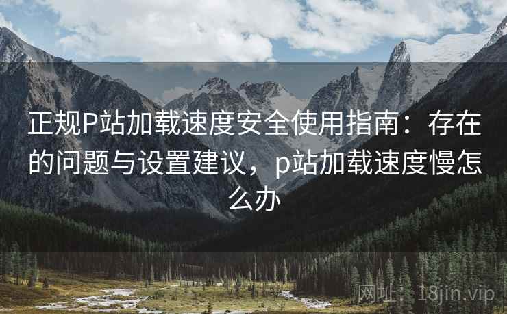 正规P站加载速度安全使用指南：存在的问题与设置建议，p站加载速度慢怎么办