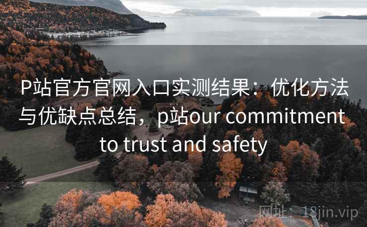 P站官方官网入口实测结果：优化方法与优缺点总结，p站our commitment to trust and safety