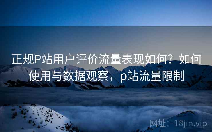 正规P站用户评价流量表现如何？如何使用与数据观察，p站流量限制