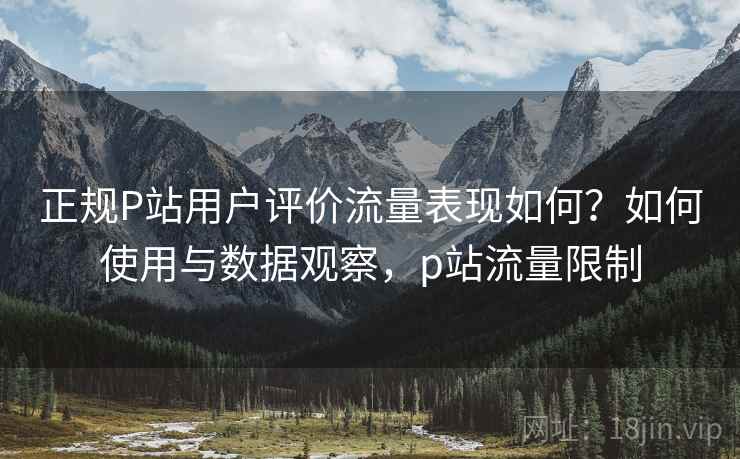 正规P站用户评价流量表现如何？如何使用与数据观察，p站流量限制