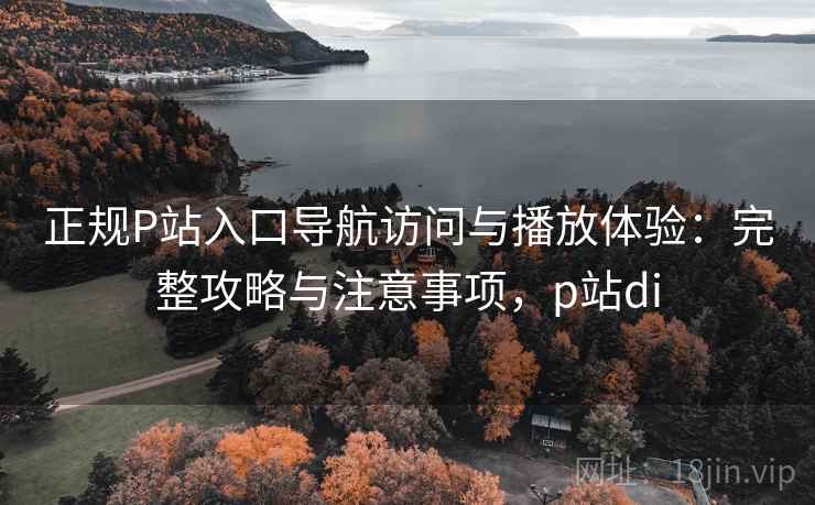 正规P站入口导航访问与播放体验:完整攻略与注意事项,p站di 正规P站入口导航访问与播放体验:完整攻略与注意事项,p站di