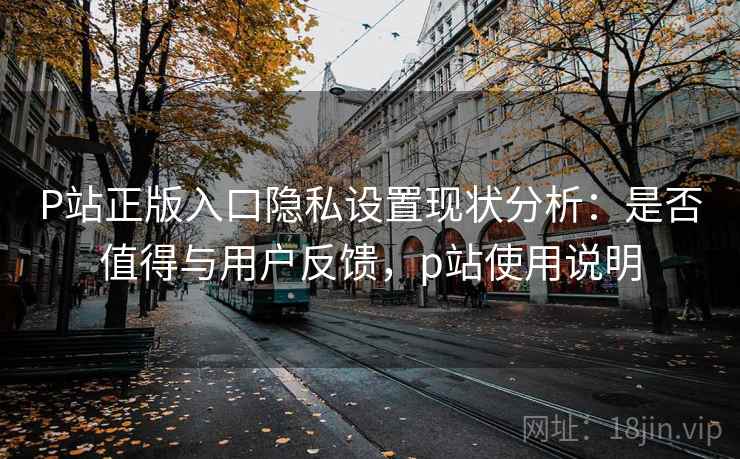 P站正版入口隐私设置现状分析:是否值得与用户反馈,p站使用说明 P站正版入口隐私设置现状分析:是否值得与用户反馈,p站使用说明