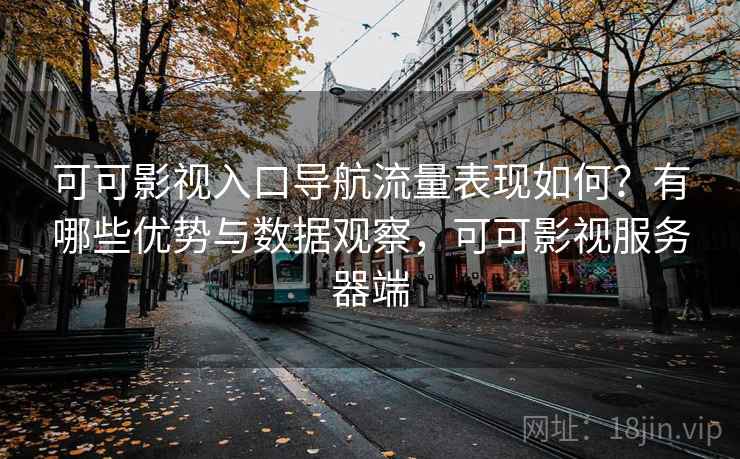 可可影视入口导航流量表现如何？有哪些优势与数据观察，可可影视服务器端