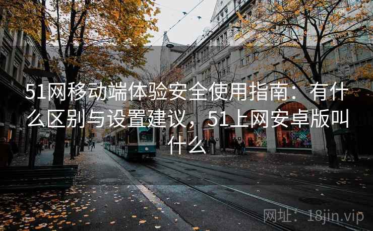 51网移动端体验安全使用指南：有什么区别与设置建议，51上网安卓版叫什么
