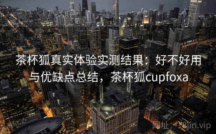 茶杯狐真实体验实测结果：好不好用与优缺点总结，茶杯狐cupfoxa