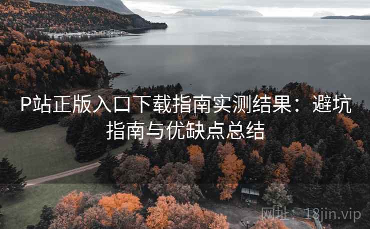 P站正版入口下载指南实测结果：避坑指南与优缺点总结