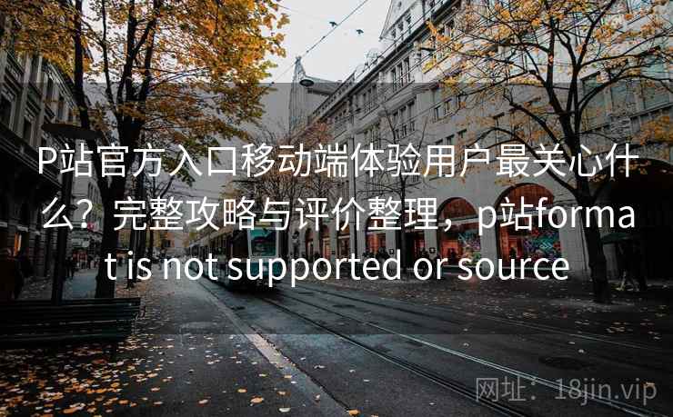 P站官方入口移动端体验用户最关心什么？完整攻略与评价整理，p站format is not supported or source