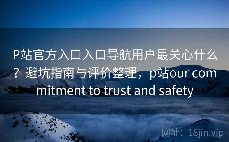 P站官方入口入口导航用户最关心什么？避坑指南与评价整理，p站our commitment to trust and safety