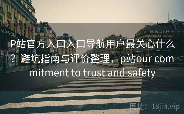 P站官方入口入口导航用户最关心什么？避坑指南与评价整理，p站our commitment to trust and safety