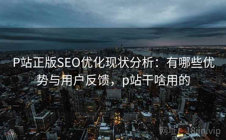 P站正版SEO优化现状分析：有哪些优势与用户反馈，p站干啥用的